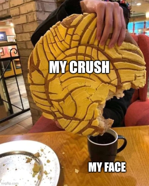 Fat chance | MY CRUSH; MY FACE | image tagged in huge pastry little coffee | made w/ Imgflip meme maker
