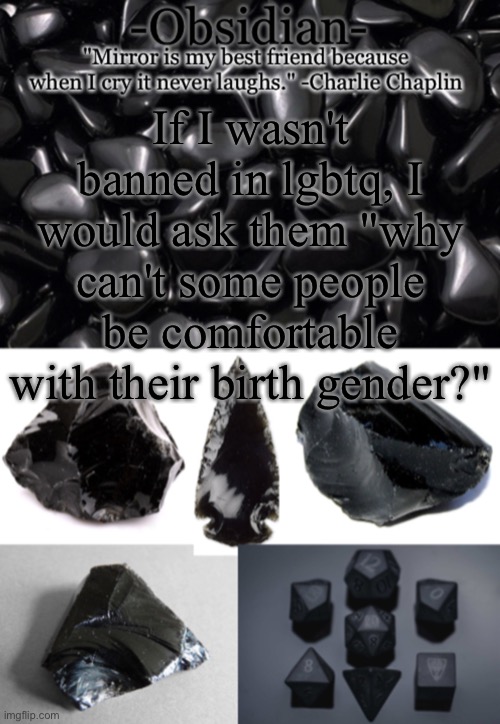 Like, why can't you just be happy? | If I wasn't banned in lgbtq, I would ask them "why can't some people be comfortable with their birth gender?" | image tagged in obsidian | made w/ Imgflip meme maker