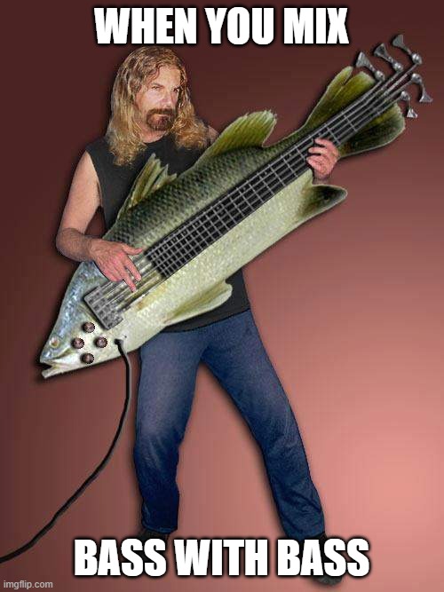 Bass guitar fish | WHEN YOU MIX BASS WITH BASS | image tagged in bass guitar fish | made w/ Imgflip meme maker