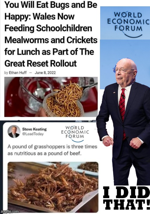 Great Reset Eat Bugs Propaganda | image tagged in blank white template | made w/ Imgflip meme maker
