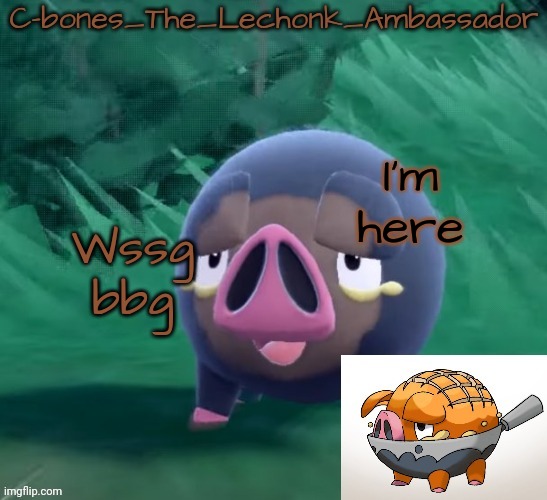 Lechonk | I'm here; Wssg bbg | image tagged in lechonk | made w/ Imgflip meme maker