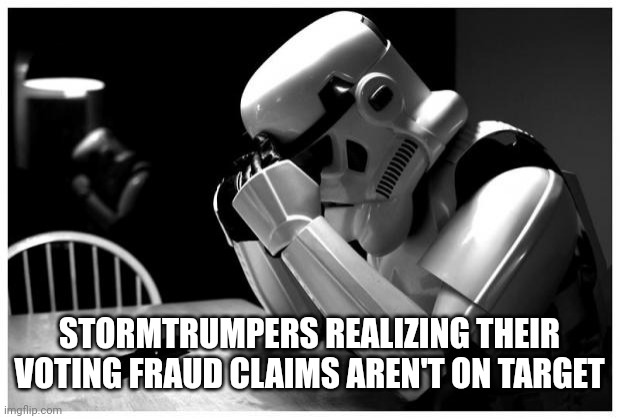 Storm Trumper | STORMTRUMPERS REALIZING THEIR VOTING FRAUD CLAIMS AREN'T ON TARGET | image tagged in sad storm trooper | made w/ Imgflip meme maker