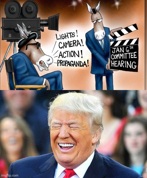 image tagged in trump laughing | made w/ Imgflip meme maker