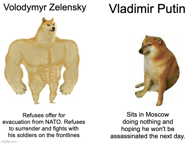 Zelensky vs Putin | Volodymyr Zelensky; Vladimir Putin; Refuses offer for evacuation from NATO. Refuses to surrender and fights with his soldiers on the frontlines; Sits in Moscow doing nothing and hoping he won't be assassinated the next day. | image tagged in memes,buff doge vs cheems | made w/ Imgflip meme maker