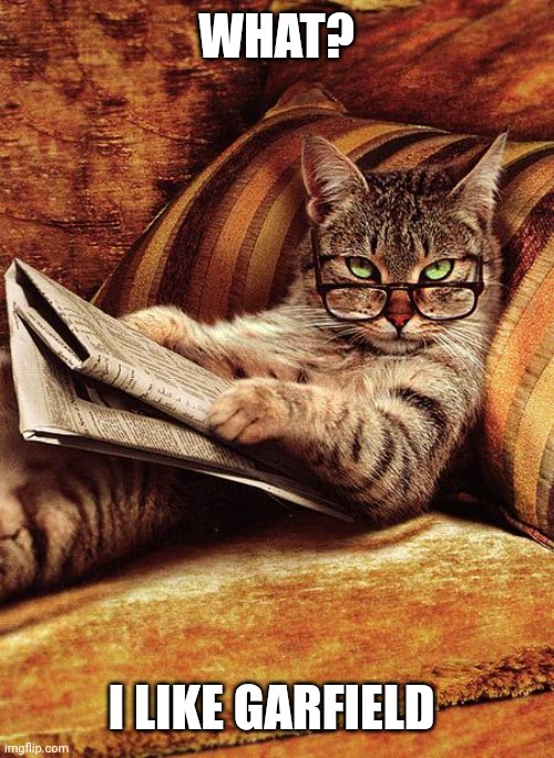 cat reading | WHAT? I LIKE GARFIELD | image tagged in cat reading | made w/ Imgflip meme maker