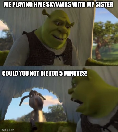 COULD YOU FROCKING NOT DIE FOR 5 MINUTES | ME PLAYING HIVE SKYWARS WITH MY SISTER; COULD YOU NOT DIE FOR 5 MINUTES! | image tagged in could you not ___ for 5 minutes | made w/ Imgflip meme maker