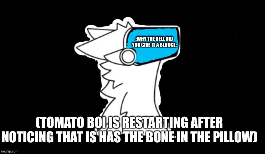 (TOMATO BOI IS RESTARTING AFTER NOTICING THAT IS HAS THE BONE IN THE PILLOW) :WHY THE HELL DID YOU GIVE IT A BLUDGE: | image tagged in blue screen protogen | made w/ Imgflip meme maker