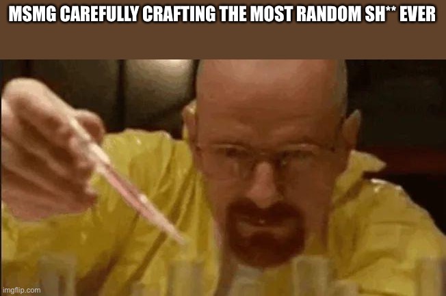 carefully crafting | MSMG CAREFULLY CRAFTING THE MOST RANDOM SH** EVER | image tagged in carefully crafting | made w/ Imgflip meme maker