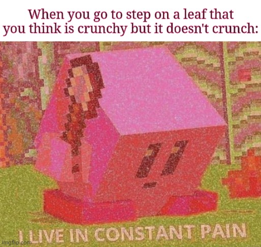 Non-crunchy leaf |  When you go to step on a leaf that you think is crunchy but it doesn't crunch: | image tagged in kirby i live in constant pain,reposts,repost,memes,meme,leaf | made w/ Imgflip meme maker
