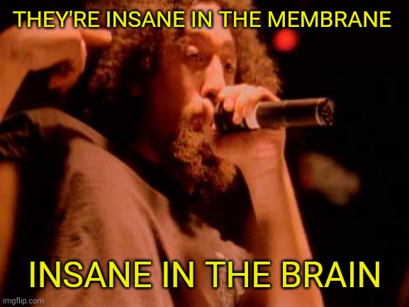 THEY'RE INSANE IN THE MEMBRANE INSANE IN THE BRAIN | made w/ Imgflip meme maker