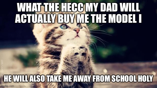Praying cat | WHAT THE HECC MY DAD WILL ACTUALLY BUY ME THE MODEL I; HE WILL ALSO TAKE ME AWAY FROM SCHOOL HOLY | image tagged in praying cat | made w/ Imgflip meme maker