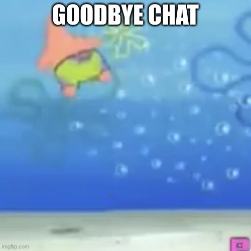 pat cork flyne | GOODBYE CHAT | image tagged in pat cork flyne | made w/ Imgflip meme maker