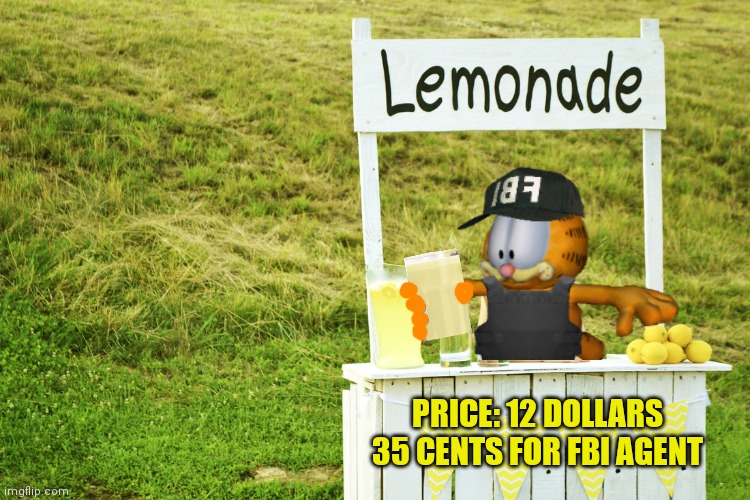 Cheap lemonade | PRICE: 12 DOLLARS
35 CENTS FOR FBI AGENT | image tagged in lemonade stand,cheap,vote,fbi,crusader | made w/ Imgflip meme maker