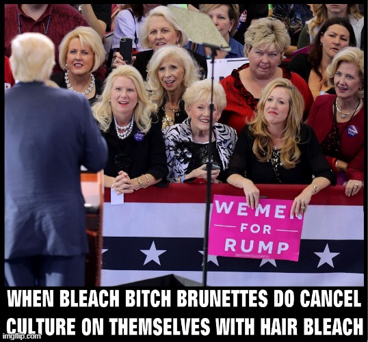 image tagged in bleach heads,clown car republicans,qanon cult,brunettes,cancel culture,rump | made w/ Imgflip meme maker