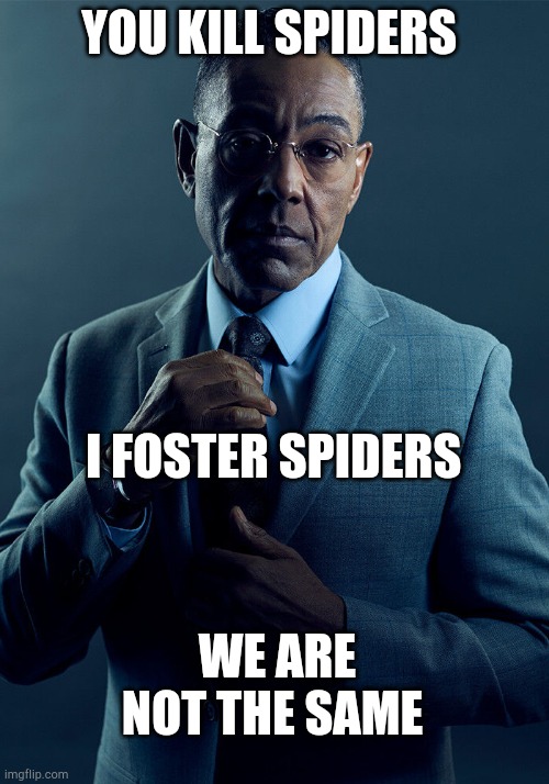 Gus Fring we are not the same | YOU KILL SPIDERS; I FOSTER SPIDERS; WE ARE NOT THE SAME | image tagged in gus fring we are not the same | made w/ Imgflip meme maker