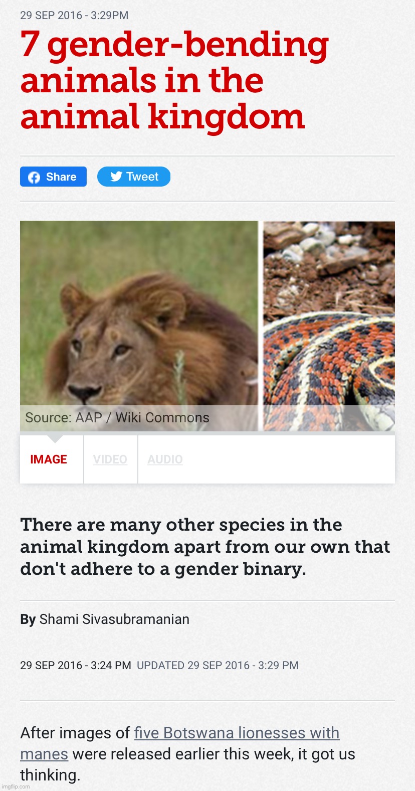 Gender-bending animals | image tagged in gender-bending animals | made w/ Imgflip meme maker