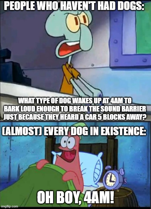 can you relate? | PEOPLE WHO HAVEN'T HAD DOGS:; WHAT TYPE OF DOG WAKES UP AT 4AM TO BARK LOUD ENOUGH TO BREAK THE SOUND BARRIER JUST BECAUSE THEY HEARD A CAR 5 BLOCKS AWAY? (ALMOST) EVERY DOG IN EXISTENCE:; OH BOY, 4AM! | image tagged in oh boy 3 am full,dogs | made w/ Imgflip meme maker