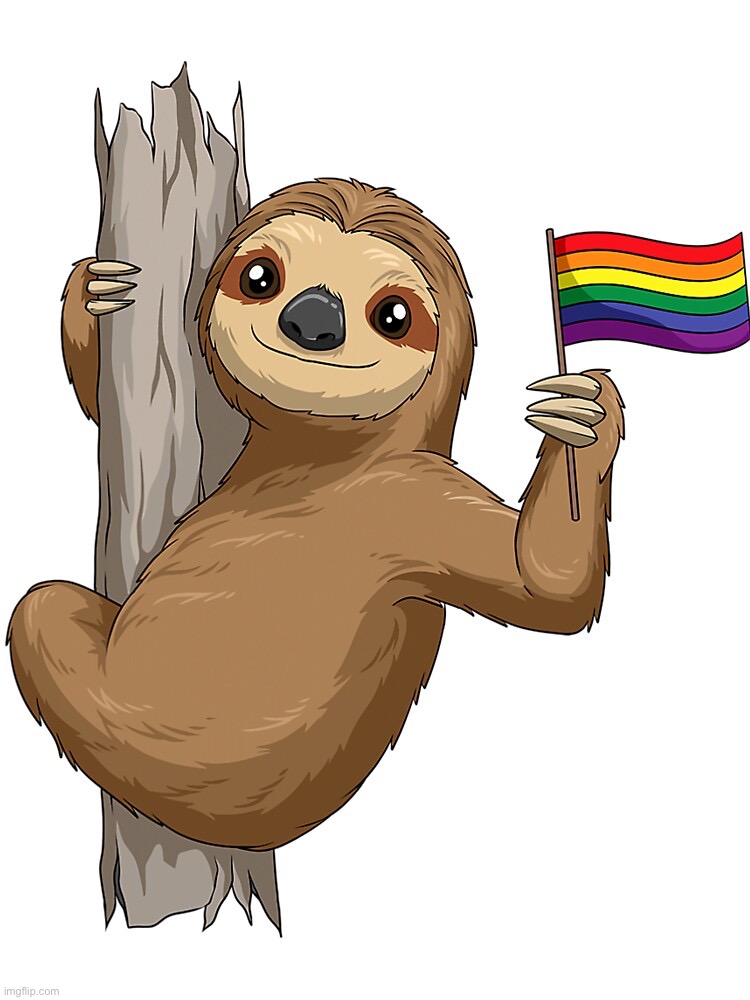 Gay sloth LGBTQ | image tagged in gay sloth lgbtq | made w/ Imgflip meme maker