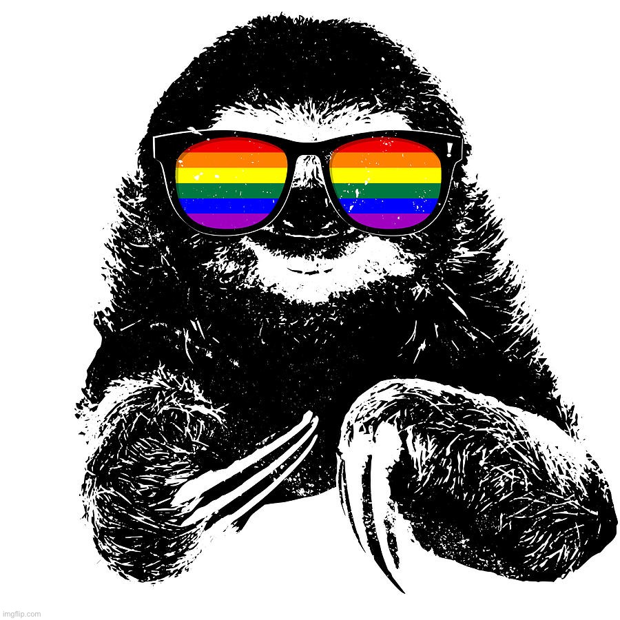 Gay Sloth LGBTQ | image tagged in gay sloth lgbtq | made w/ Imgflip meme maker