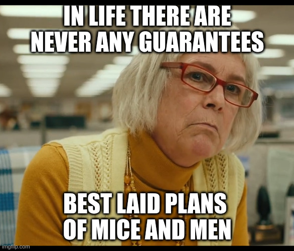 Auditor Bitch | IN LIFE THERE ARE NEVER ANY GUARANTEES; BEST LAID PLANS 
OF MICE AND MEN | image tagged in auditor bitch | made w/ Imgflip meme maker