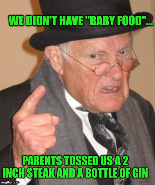 Back In My Day Meme | WE DIDN'T HAVE "BABY FOOD"... PARENTS TOSSED US A 2 INCH STEAK AND A BOTTLE OF GIN | image tagged in memes,back in my day | made w/ Imgflip meme maker