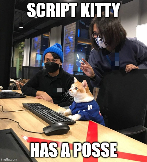 In ur devicez, spreadin meowlware | SCRIPT KITTY; HAS A POSSE | image tagged in cat,computer | made w/ Imgflip meme maker