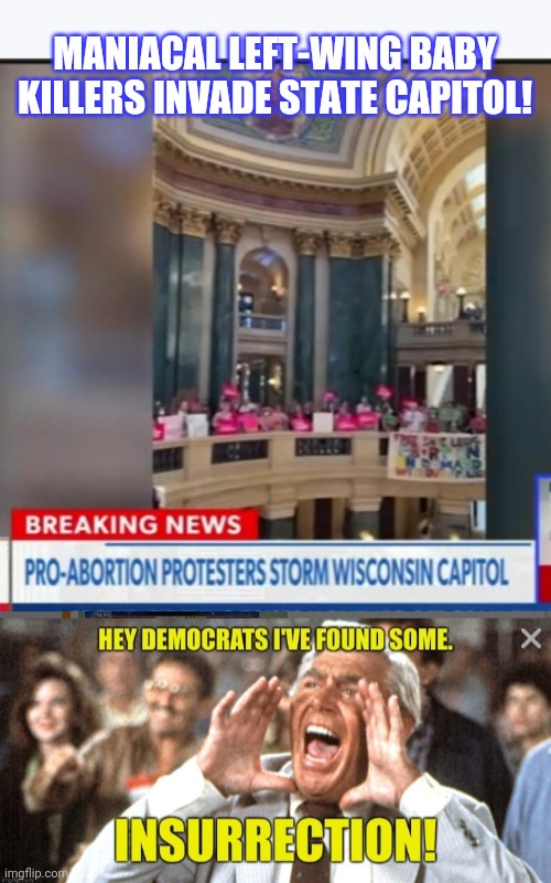 OMG- INSURRECTION!! | MANIACAL LEFT-WING BABY KILLERS INVADE STATE CAPITOL! | image tagged in impeach,democrats,now,butthurt liberals,stupid liberals | made w/ Imgflip meme maker