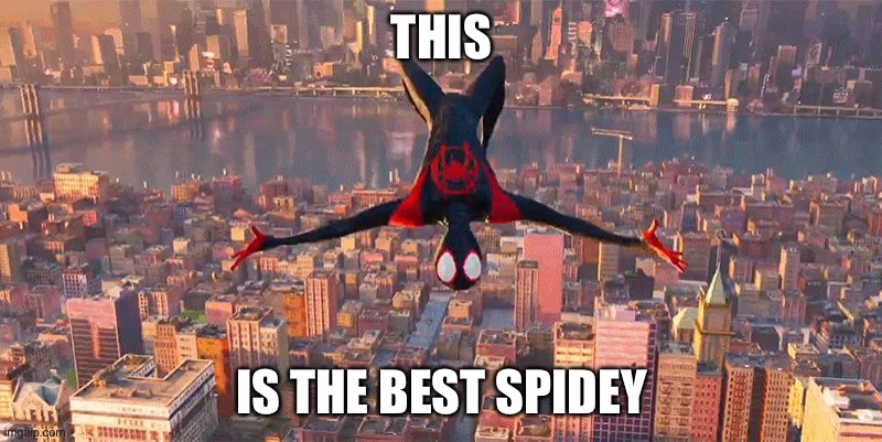 Miles Jumping Down | THIS IS THE BEST SPIDEY | image tagged in miles jumping down | made w/ Imgflip meme maker