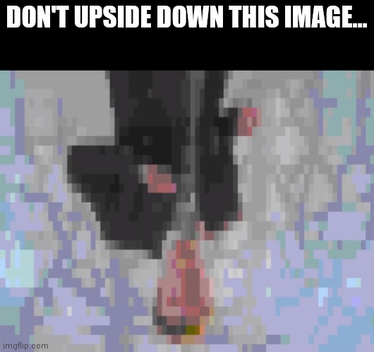 [you will reas this after you are rickrolled] | DON'T UPSIDE DOWN THIS IMAGE... | image tagged in funny | made w/ Imgflip meme maker