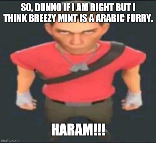 bro | SO, DUNNO IF I AM RIGHT BUT I THINK BREEZY MINT IS A ARABIC FURRY. HARAM!!! | image tagged in bro | made w/ Imgflip meme maker