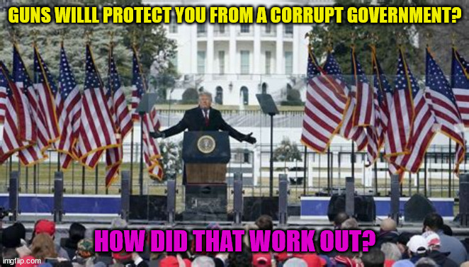 Guns, how did that work out? | GUNS WILLL PROTECT YOU FROM A CORRUPT GOVERNMENT? HOW DID THAT WORK OUT? | image tagged in nra,corrupt,guns,2nd amendment,fascists | made w/ Imgflip meme maker