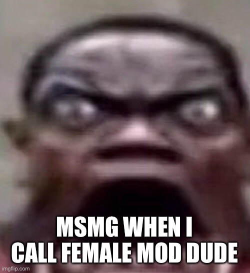 guy screaming | MSMG WHEN I CALL FEMALE MOD DUDE | image tagged in guy screaming | made w/ Imgflip meme maker