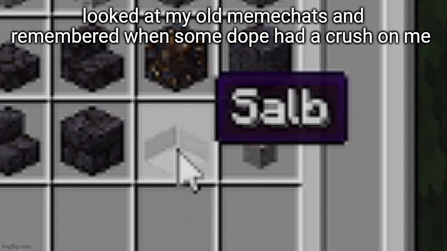 honestly forgot who they were | looked at my old memechats and remembered when some dope had a crush on me | image tagged in salb | made w/ Imgflip meme maker