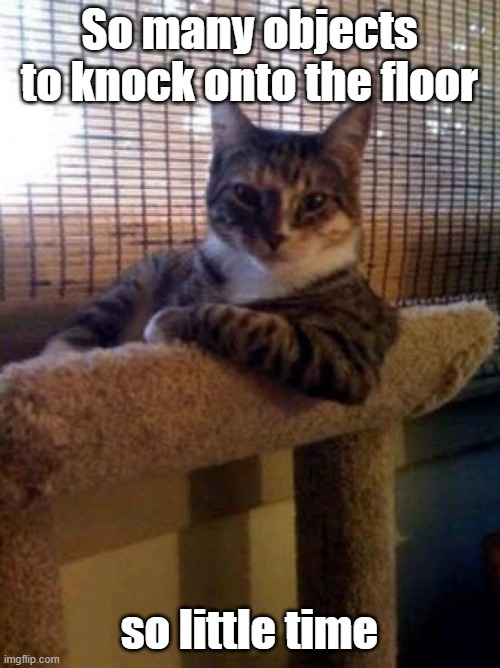 The Most Interesting Cat In The World Meme | So many objects to knock onto the floor so little time | image tagged in memes,the most interesting cat in the world | made w/ Imgflip meme maker