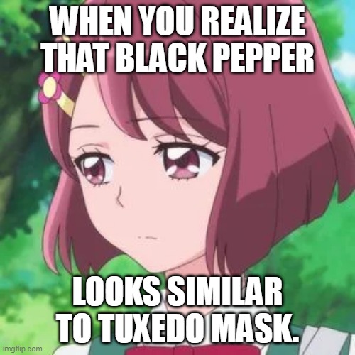 Nodoka Black Pepper meme. | WHEN YOU REALIZE THAT BLACK PEPPER; LOOKS SIMILAR TO TUXEDO MASK. | image tagged in precure,sailor moon,meme | made w/ Imgflip meme maker