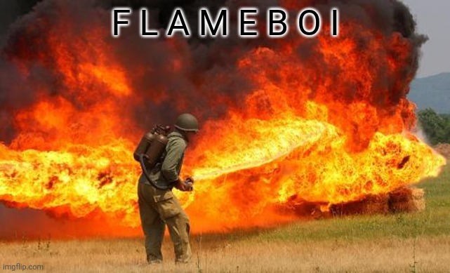 Nope flamethrower | F L A M E B O I | image tagged in nope flamethrower | made w/ Imgflip meme maker