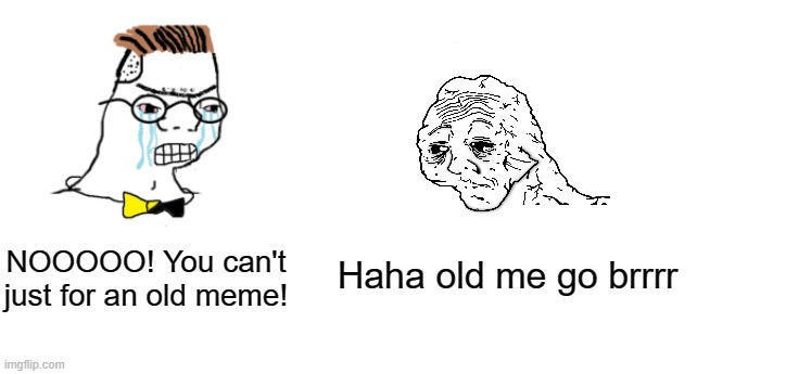 You aren't an old meme | Haha old me go brrrr; NOOOOO! You can't just for an old meme! | image tagged in nooo haha go brrr,memes | made w/ Imgflip meme maker