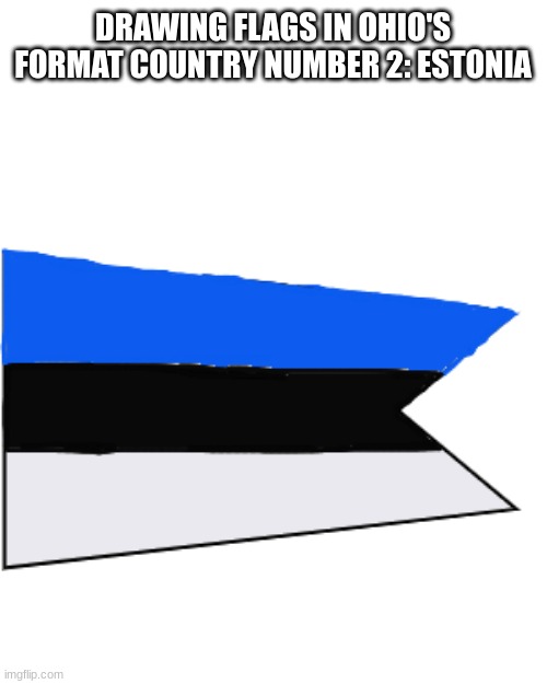 its actually really close | DRAWING FLAGS IN OHIO'S FORMAT COUNTRY NUMBER 2: ESTONIA | image tagged in flags | made w/ Imgflip meme maker