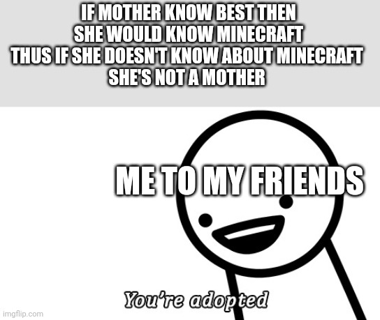 Mothers | IF MOTHER KNOW BEST THEN SHE WOULD KNOW MINECRAFT THUS IF SHE DOESN'T KNOW ABOUT MINECRAFT 
SHE'S NOT A MOTHER; ME TO MY FRIENDS | image tagged in you're adopted | made w/ Imgflip meme maker