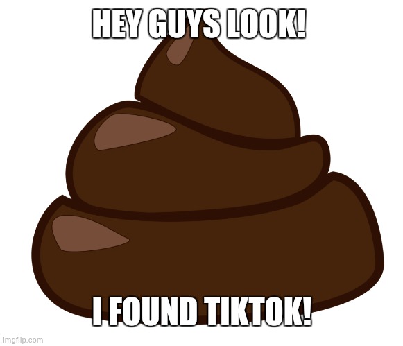 bøsj | HEY GUYS LOOK! I FOUND TIKTOK! | image tagged in b sj | made w/ Imgflip meme maker