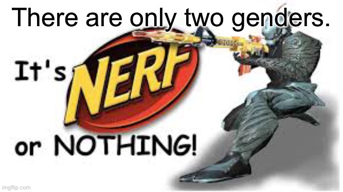 Its nerf or nothing | There are only two genders. | image tagged in its nerf or nothing | made w/ Imgflip meme maker