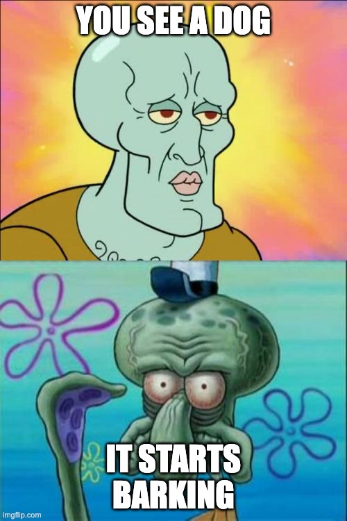 Squidward | YOU SEE A DOG; IT STARTS BARKING | image tagged in memes,squidward | made w/ Imgflip meme maker