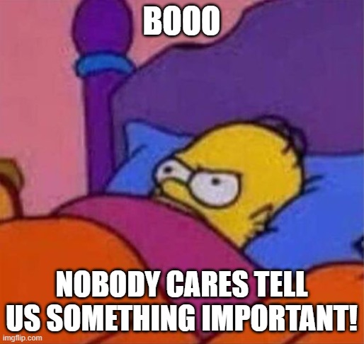 angry homer simpson in bed | BOOO NOBODY CARES TELL US SOMETHING IMPORTANT! | image tagged in angry homer simpson in bed | made w/ Imgflip meme maker