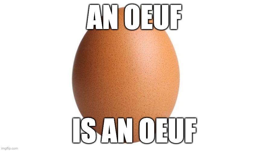 Enough is enough | AN OEUF; IS AN OEUF | image tagged in egg,enough is enough | made w/ Imgflip meme maker