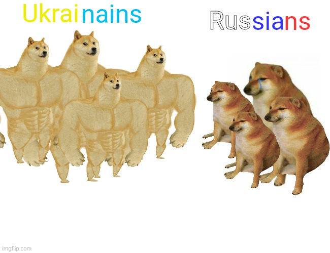 Ukrainians Vs. Russians | Ukrai; nains; sia; ns; Rus | image tagged in memes,buff doge vs cheems | made w/ Imgflip meme maker