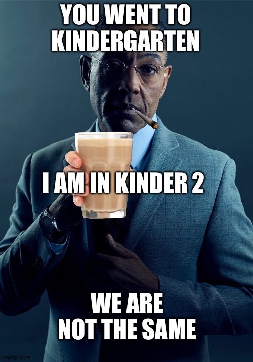 Gus Fring we are not the same | YOU WENT TO KINDERGARTEN; I AM IN KINDER 2; WE ARE NOT THE SAME | image tagged in gus fring we are not the same | made w/ Imgflip meme maker