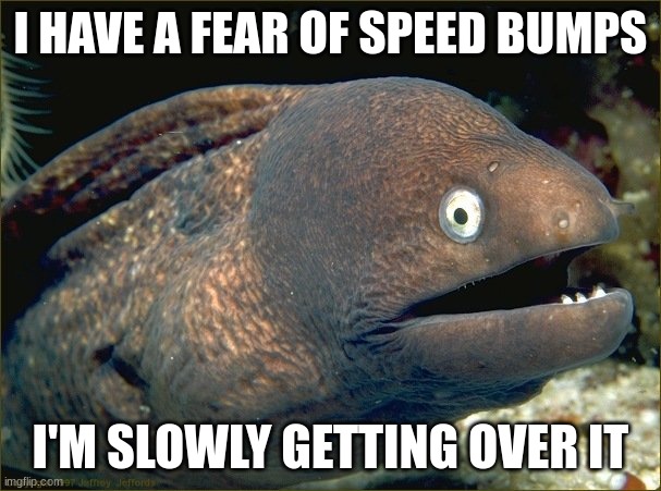 bad joke eel | I HAVE A FEAR OF SPEED BUMPS; I'M SLOWLY GETTING OVER IT | image tagged in bad joke eel | made w/ Imgflip meme maker
