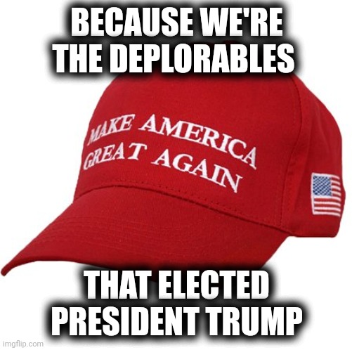 MAGA HAT | BECAUSE WE'RE THE DEPLORABLES THAT ELECTED
PRESIDENT TRUMP | image tagged in maga hat | made w/ Imgflip meme maker