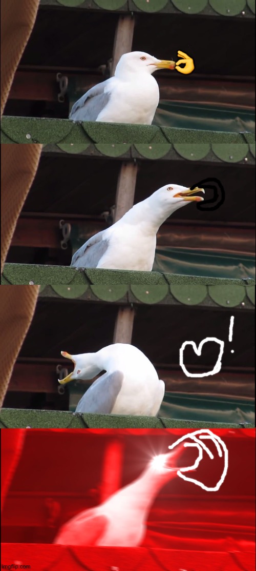 Inhaling Seagull | 👌 | image tagged in memes,inhaling seagull | made w/ Imgflip meme maker