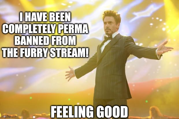 Tony Stark success | I HAVE BEEN COMPLETELY PERMA BANNED FROM THE FURRY STREAM! FEELING GOOD | image tagged in tony stark success | made w/ Imgflip meme maker